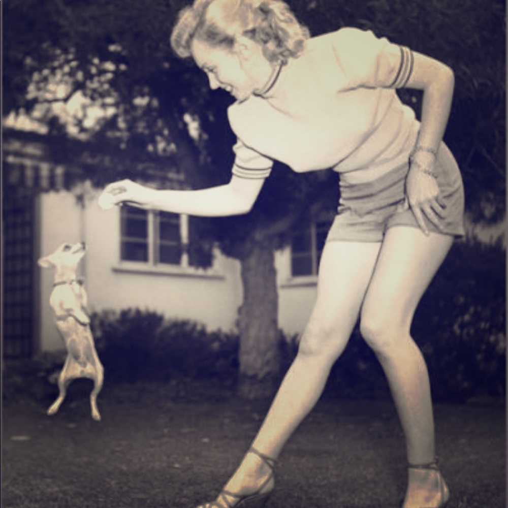 💕Marilyn & Friends 🐾